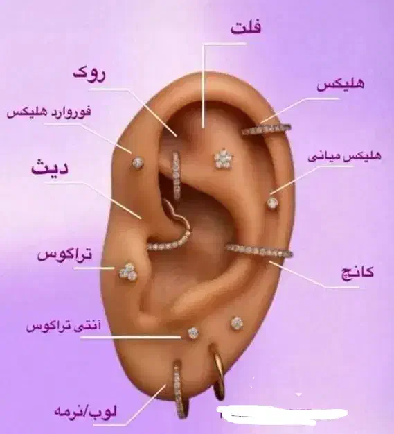طراحی|تابلو، نقاشی، عکس|بندر امام خمینی, |دیوار