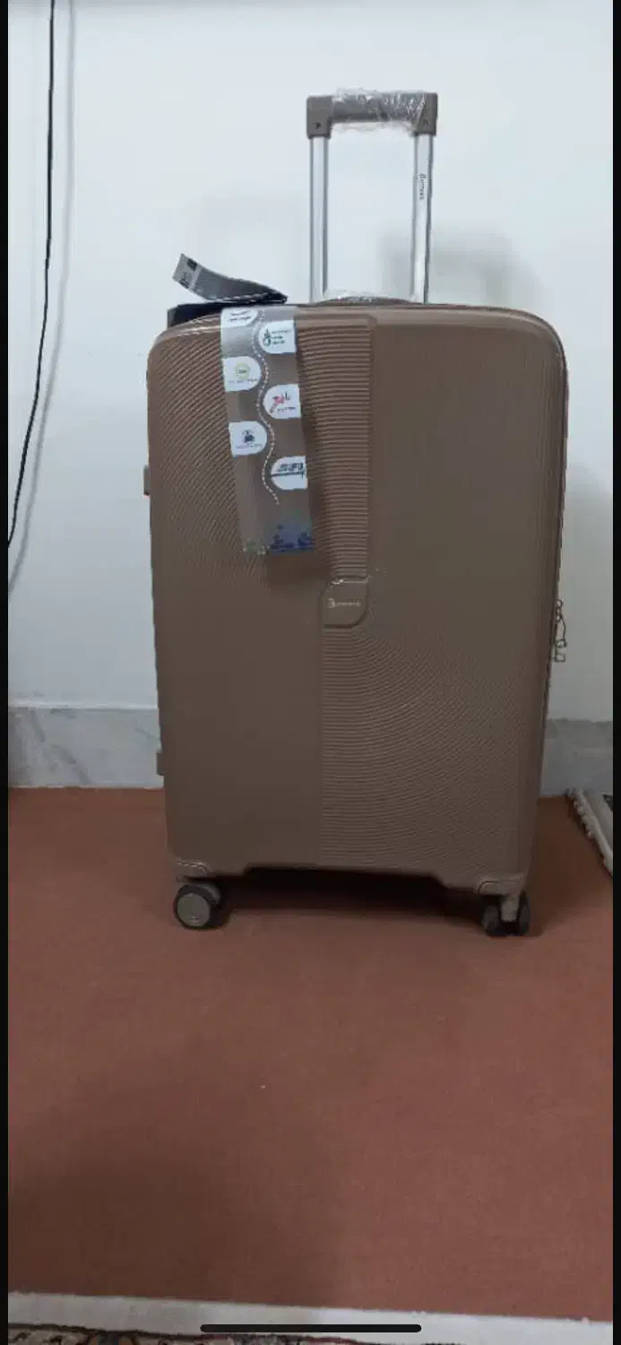 چمدان|کیف، کفش، کمربند|اراک, |دیوار