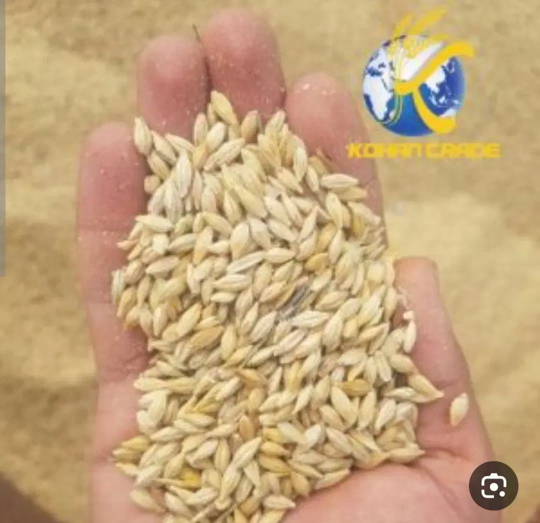 جو حیوانات|لوازم جانبی حیوانات|دیواندره, |دیوار