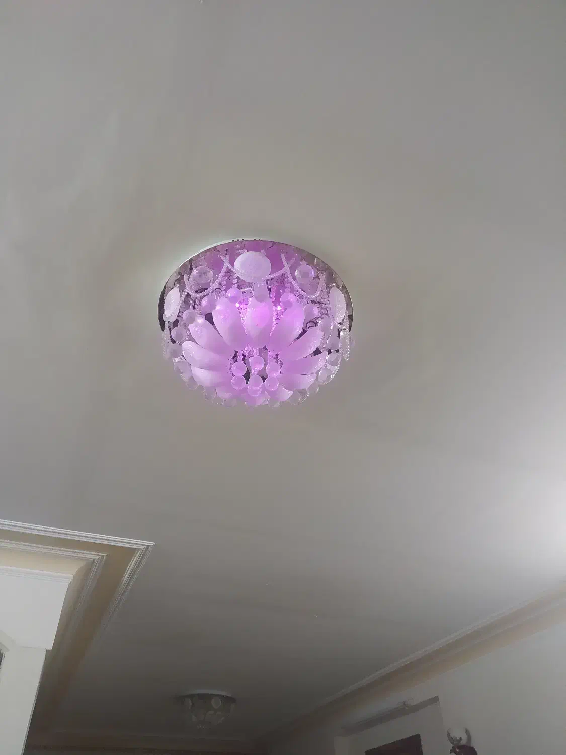 لوستر|لوستر و چراغ آویز|قم, چهل درخت‎|دیوار