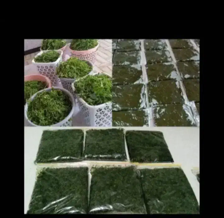 سبزی خوزستان|خوردنی و آشامیدنی|نجف‌آباد, حومه نجف آباد|دیوار