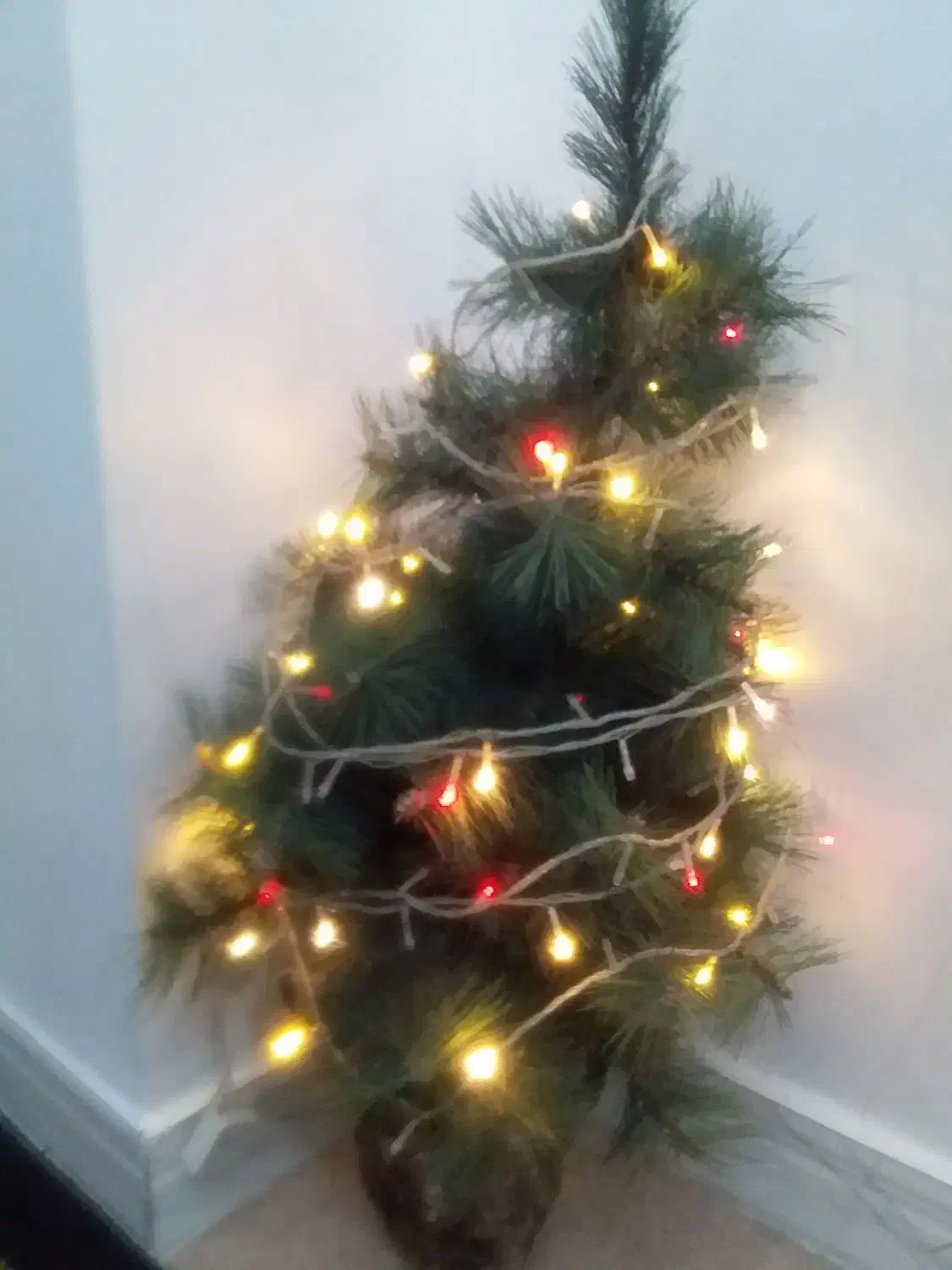 درخت کاج زیبا به همره چراغ|گل مصنوعی|ملایر, |دیوار