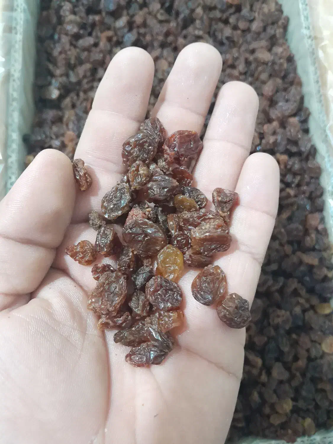 کشمش درجه ۱و۲|خوردنی و آشامیدنی|اهواز, نادری|دیوار