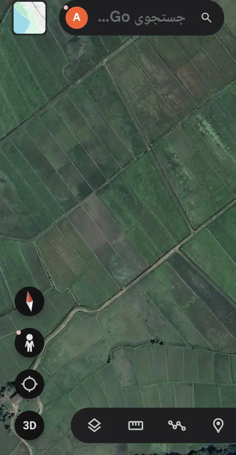 شالیزار مزرعه برنج|فروش زمین و ملک کلنگی|پره‌سر, |دیوار