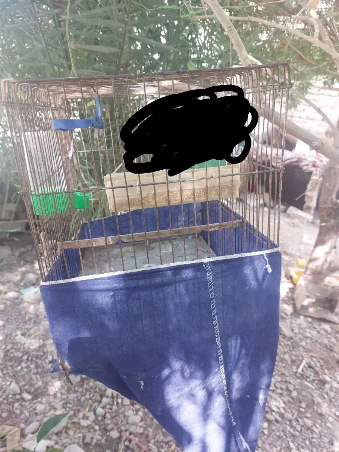 قفس مرغ عشق و فنچ|لوازم جانبی حیوانات|ایرانشهر, |دیوار