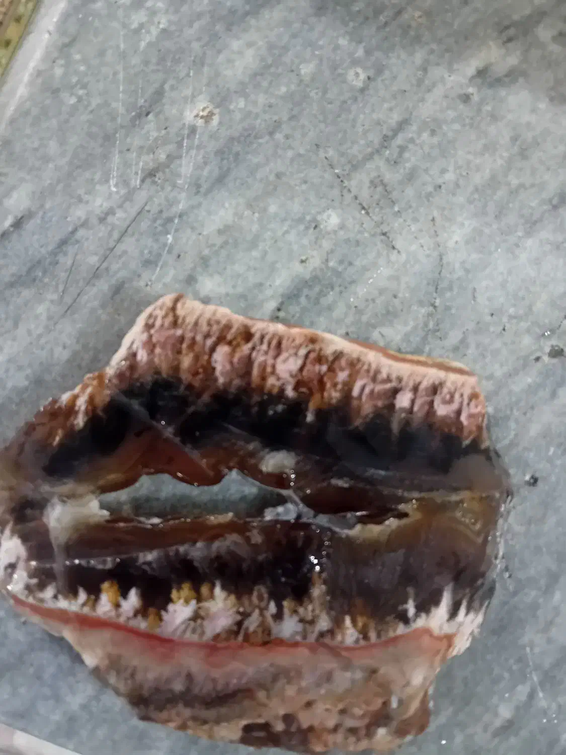 سنگ شجر|جواهرات|زنجان, |دیوار