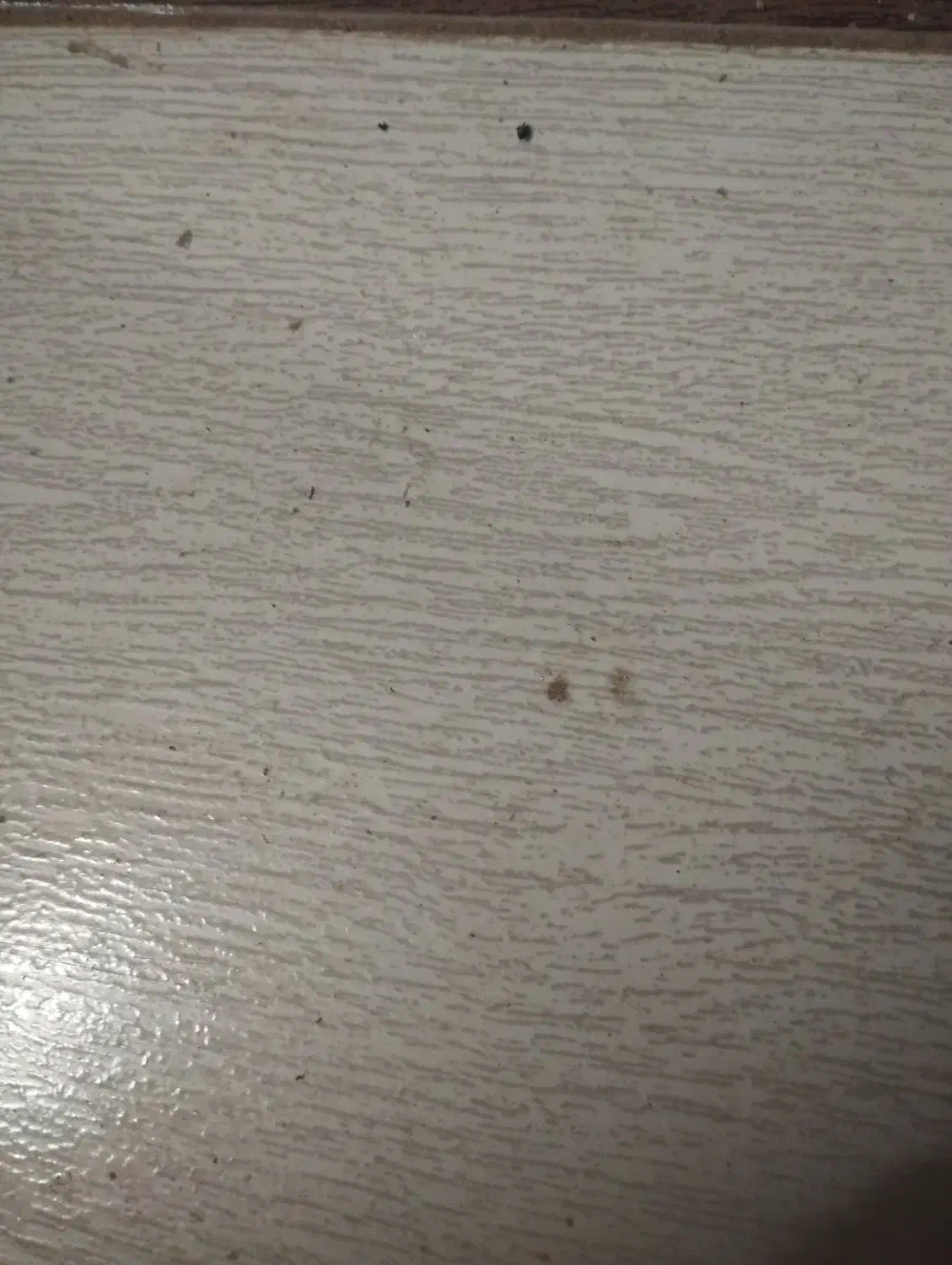 منشی خانم|استخدام بازاریابی و فروش|امیدیه, |دیوار