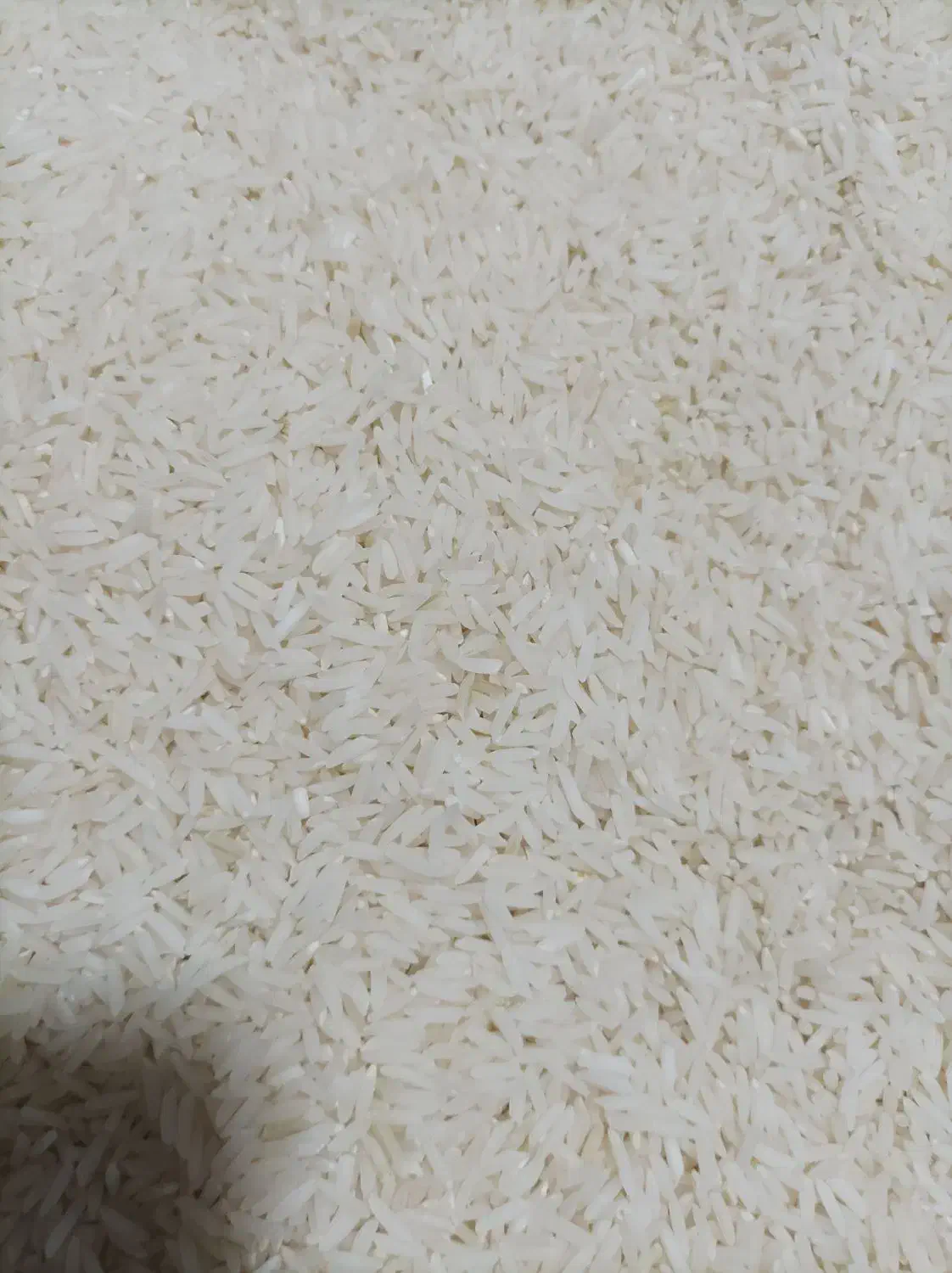 برنج طارم دم سیاه|خوردنی و آشامیدنی|کلاله, |دیوار