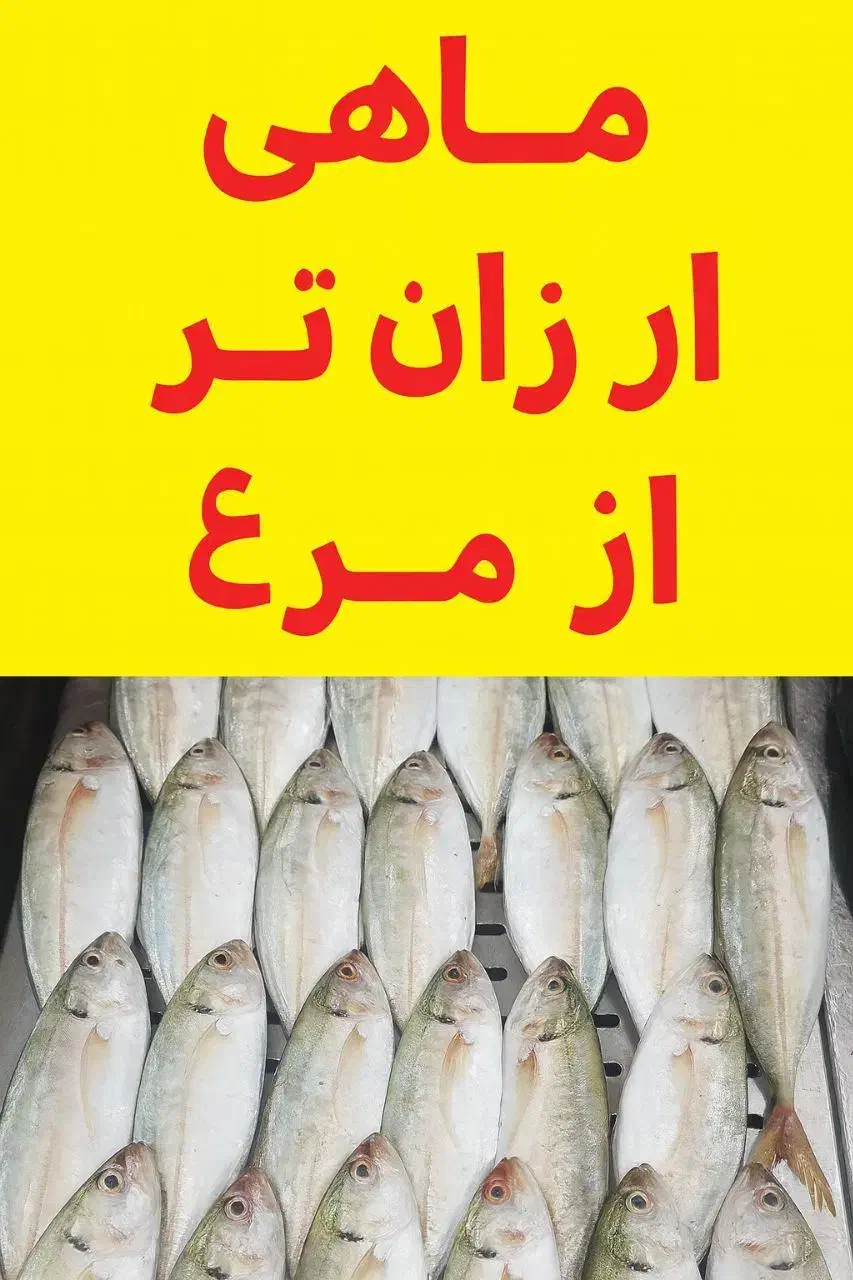 ماهی ۱۳۹ تومان|خوردنی و آشامیدنی|قم, در بهشت|دیوار