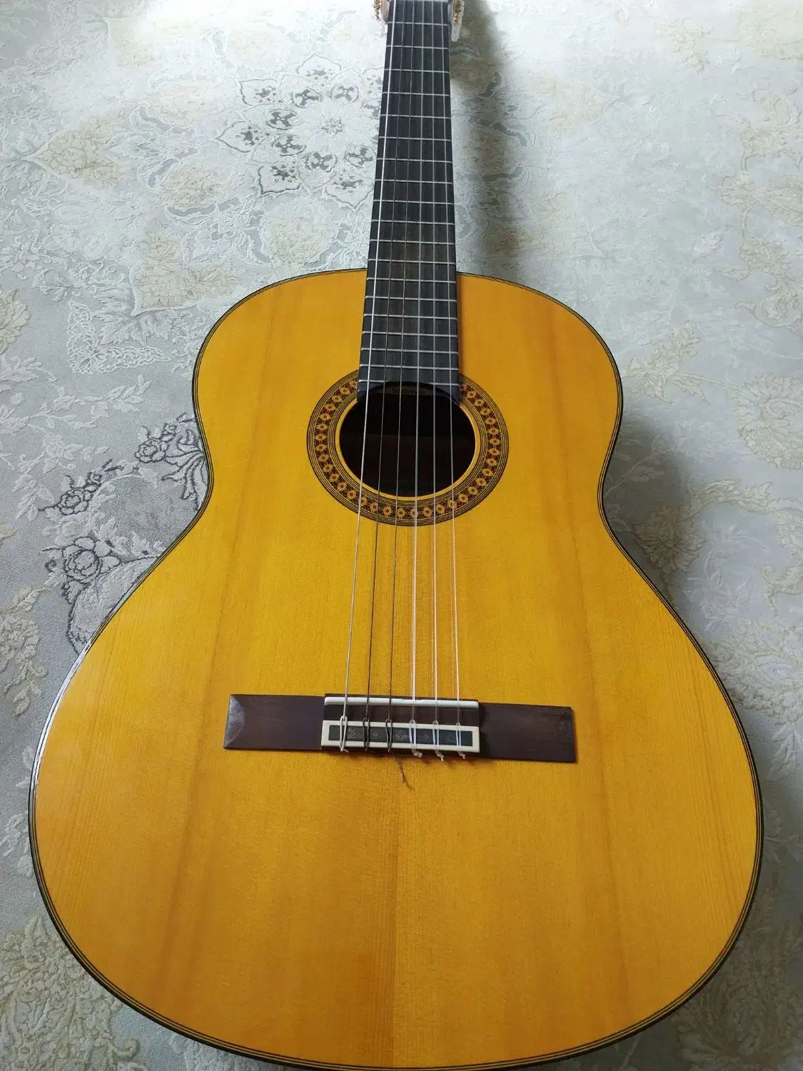 گیتار|گیتار، بیس، امپلیفایر|گنبد کاووس, |دیوار