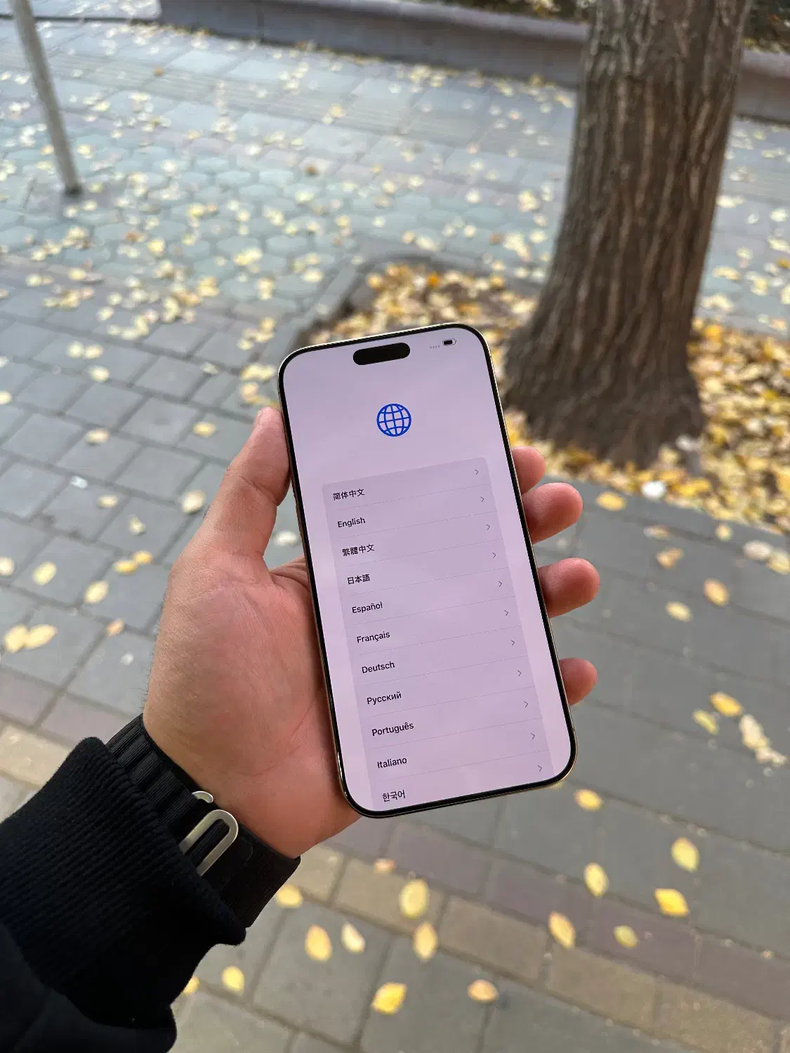 ۱۶ پرومکس شرکتی ۲۵۶گیگ|موبایل|تبریز, |دیوار