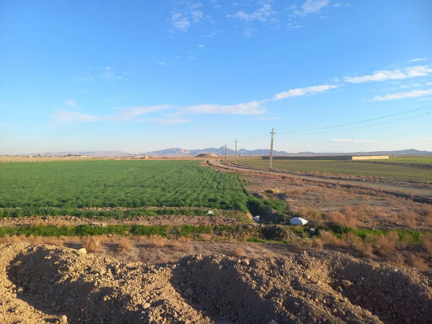 زمین کشاورزی سند ششدانگ|فروش زمین و ملک کلنگی|شریفآباد, |دیوار