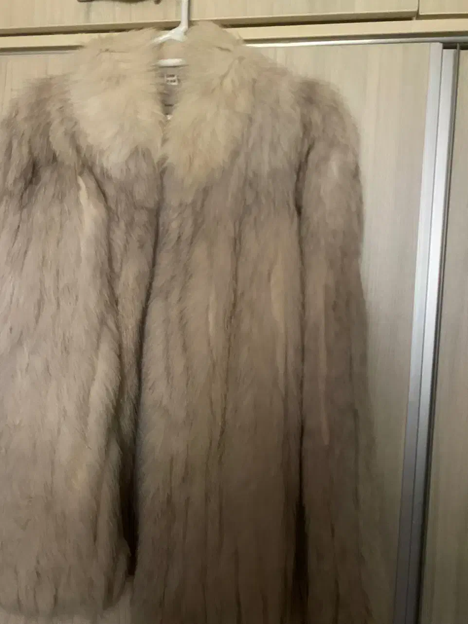 پالتو پوست|لباس|بندر انزلی, سپیدکنار|دیوار