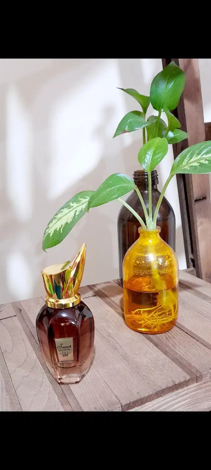 ادکلن کازاموراتی زرجف-زرژاف|آرایشی، بهداشتی، درمانی|یاسوج, |دیوار