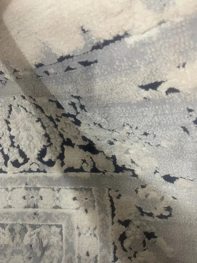 دو عدد فرش ۹متری|فرش|گرگان, |دیوار