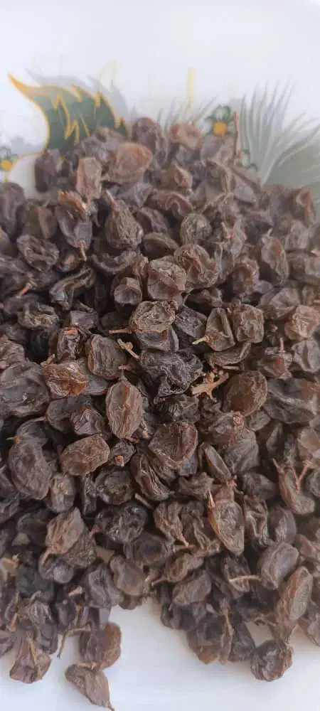 کشمش بدون هسته عسکری درجه یک|خوردنی و آشامیدنی|شیراز, غدیر شمالی|دیوار