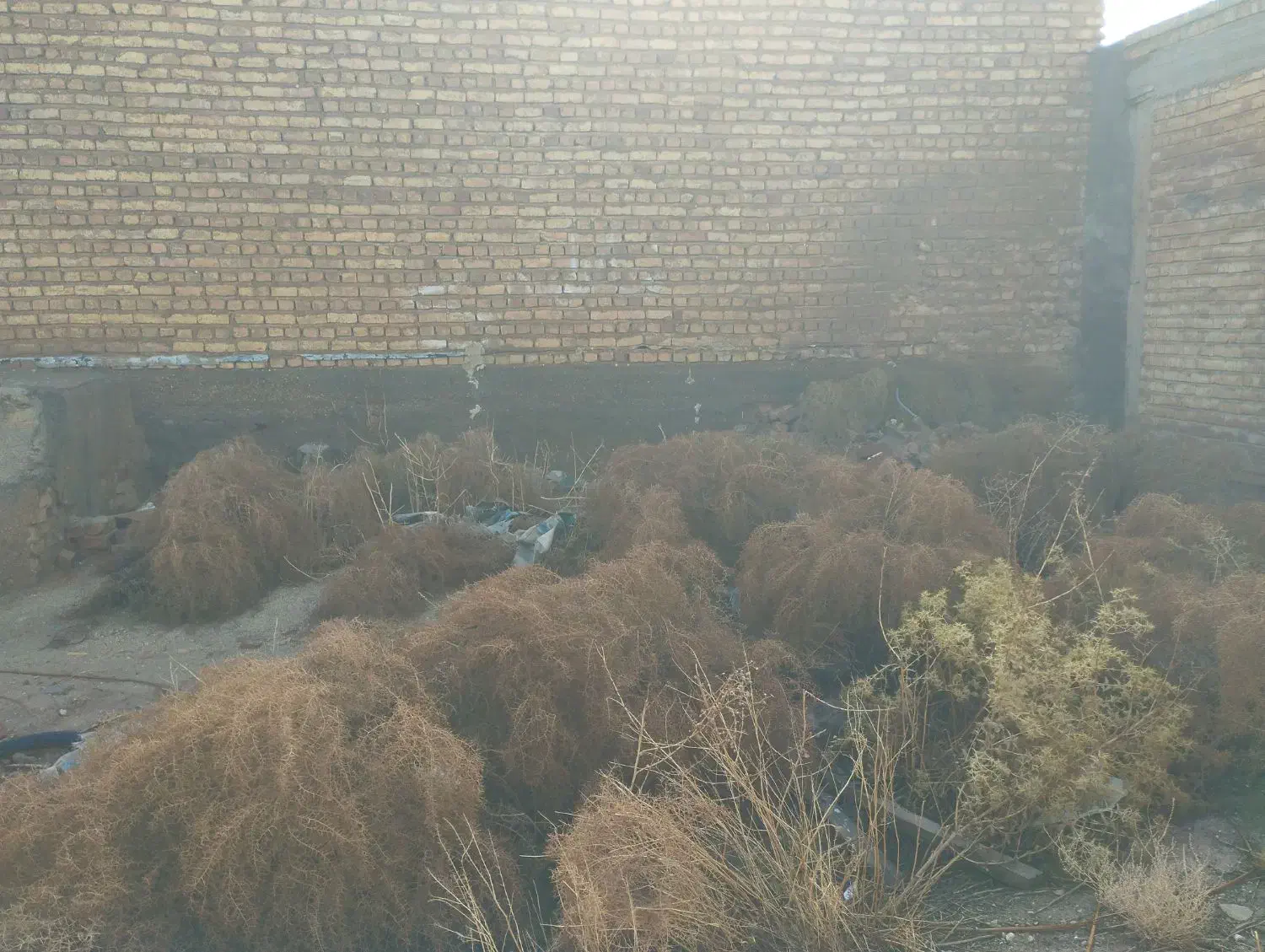 زمین|کلکسیون اشیاء عتیقه|مرودشت, کوشک|دیوار