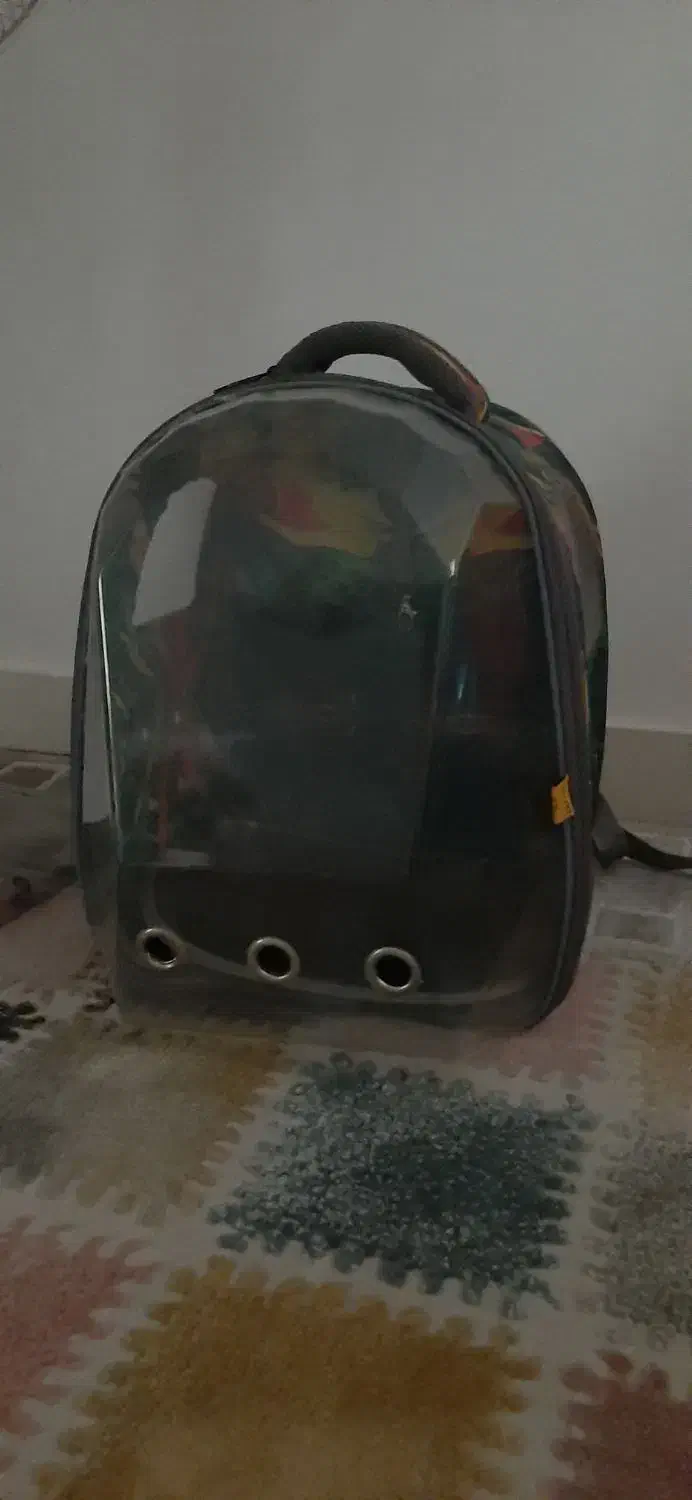 کیف فضایی حمل گربه،سگ،پرنده|لوازم جانبی حیوانات|رشت, رودباری|دیوار