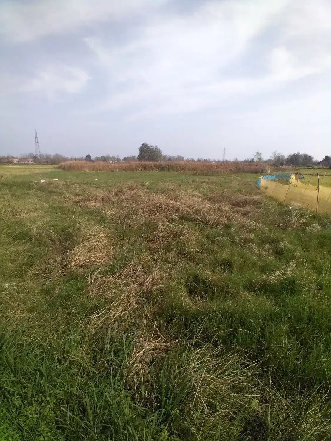 ۵هزارمترزمین کشاورزی سنتی باجاده ۶متری|فروش دفتر صنعتی، کشاورزی، تجاری|کوچصفهان, |دیوار