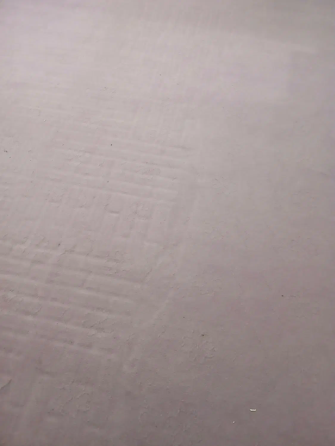 موکت رنگ بنفش|موکت|رفسنجان, |دیوار