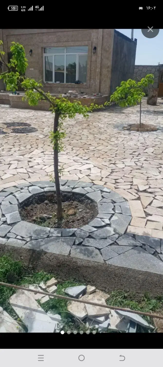 از پی تا بام|خدمات پیشه و مهارت|قوچان, |دیوار