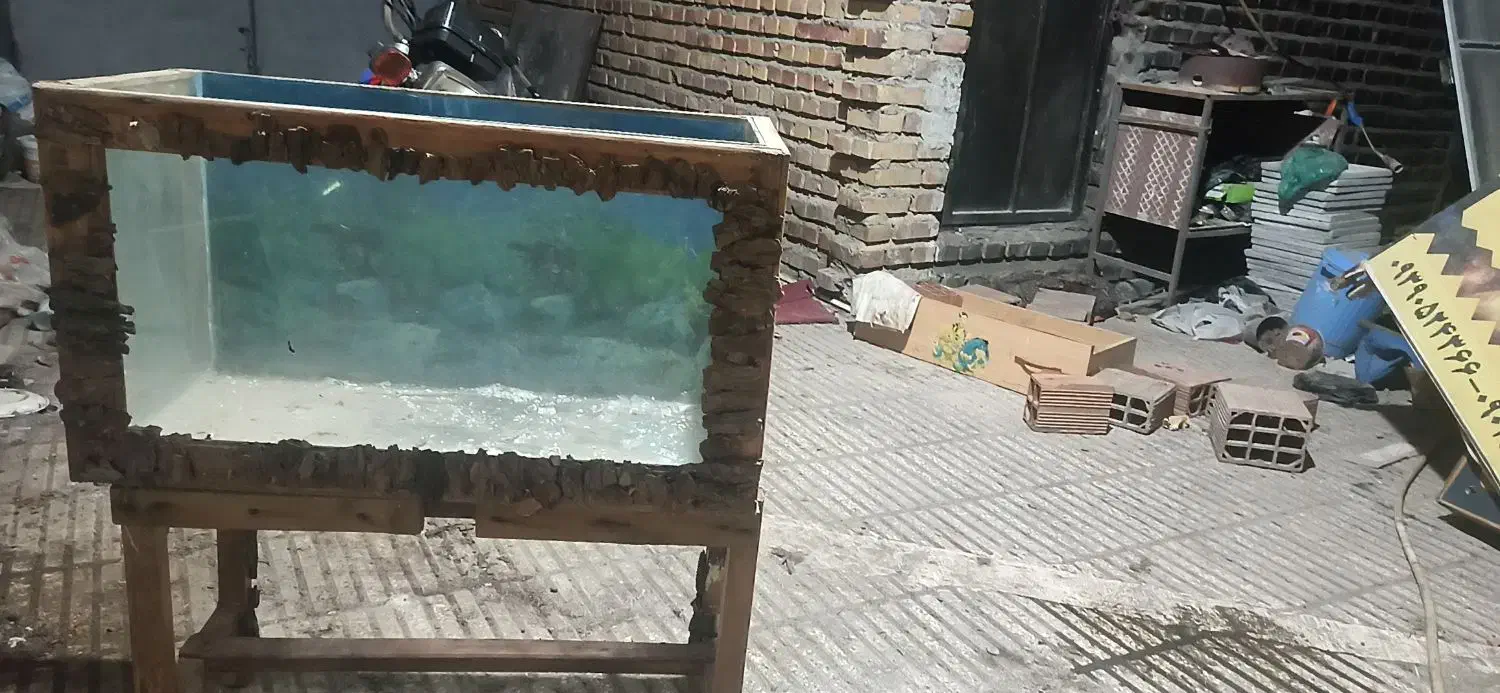 اکواریوم یک متر در یک متر کامل|ماهی|آزادشهر, |دیوار