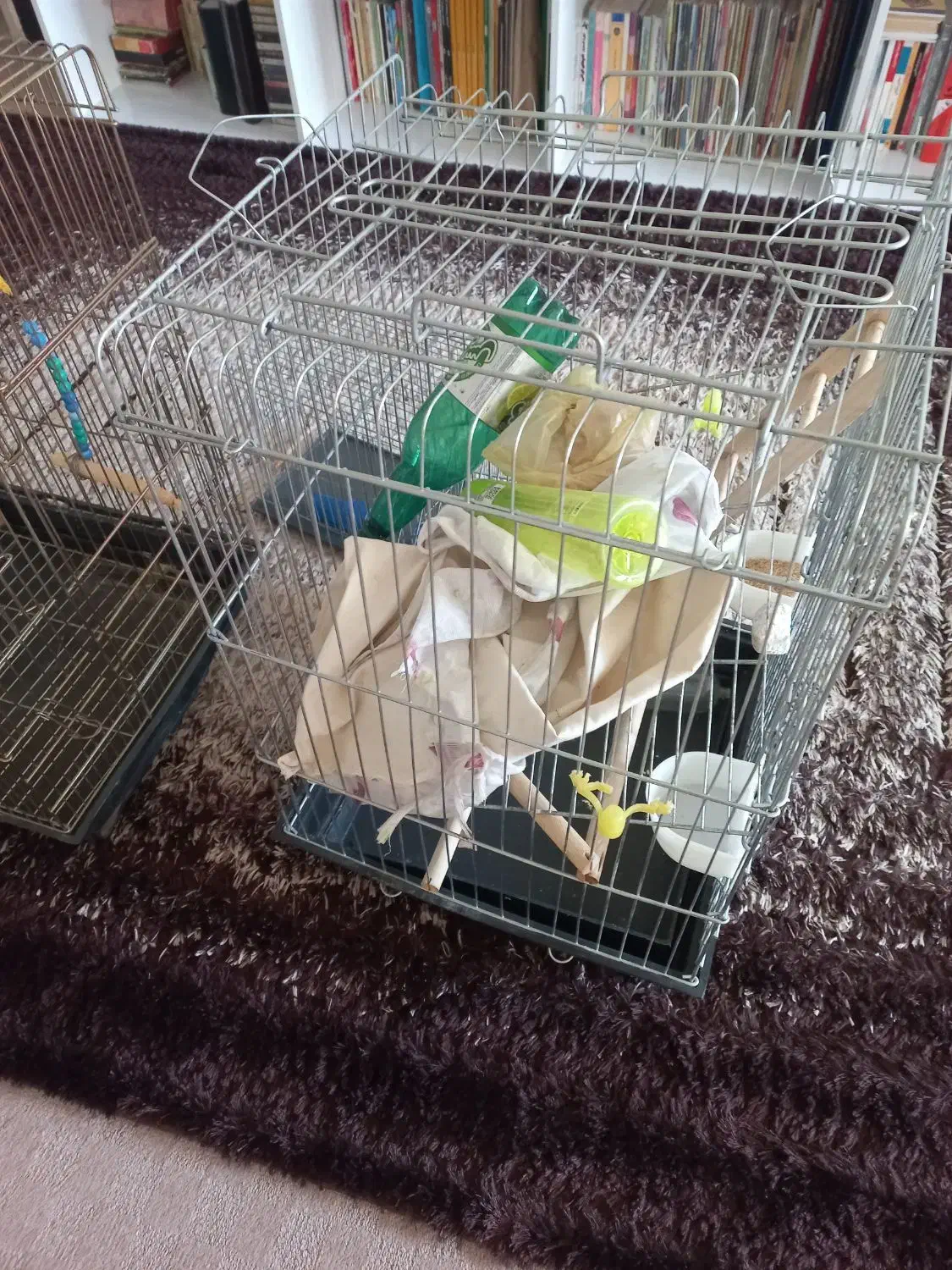 فروش قفسه پرنده|لوازم جانبی حیوانات|دره شهر, |دیوار