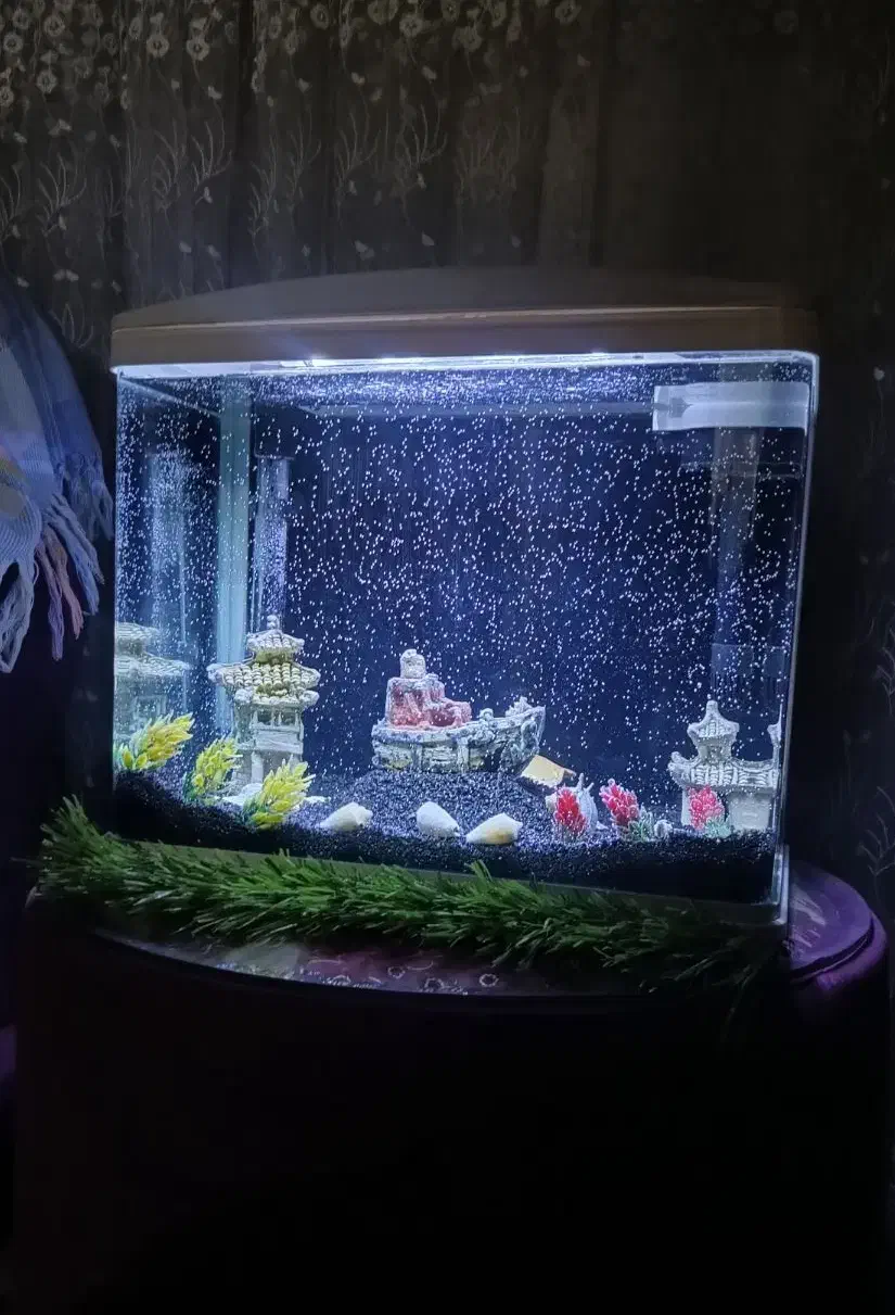 اکواریوم مکانیزه فول‌ وسایل|ماهی|یزد, |دیوار