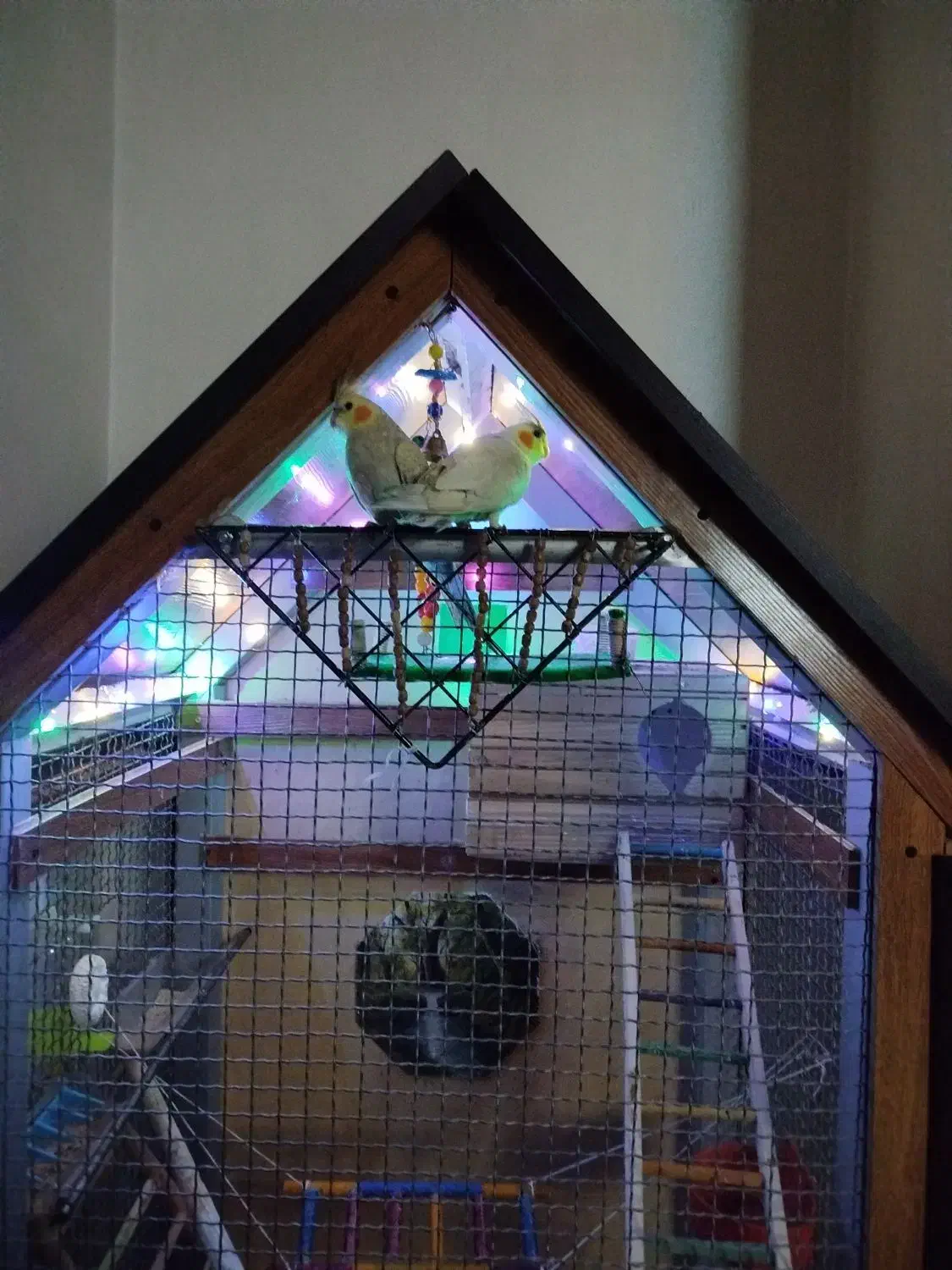 قفس بزرگ چوبی|لوازم جانبی حیوانات|محمدشهر, محمدشهر|دیوار