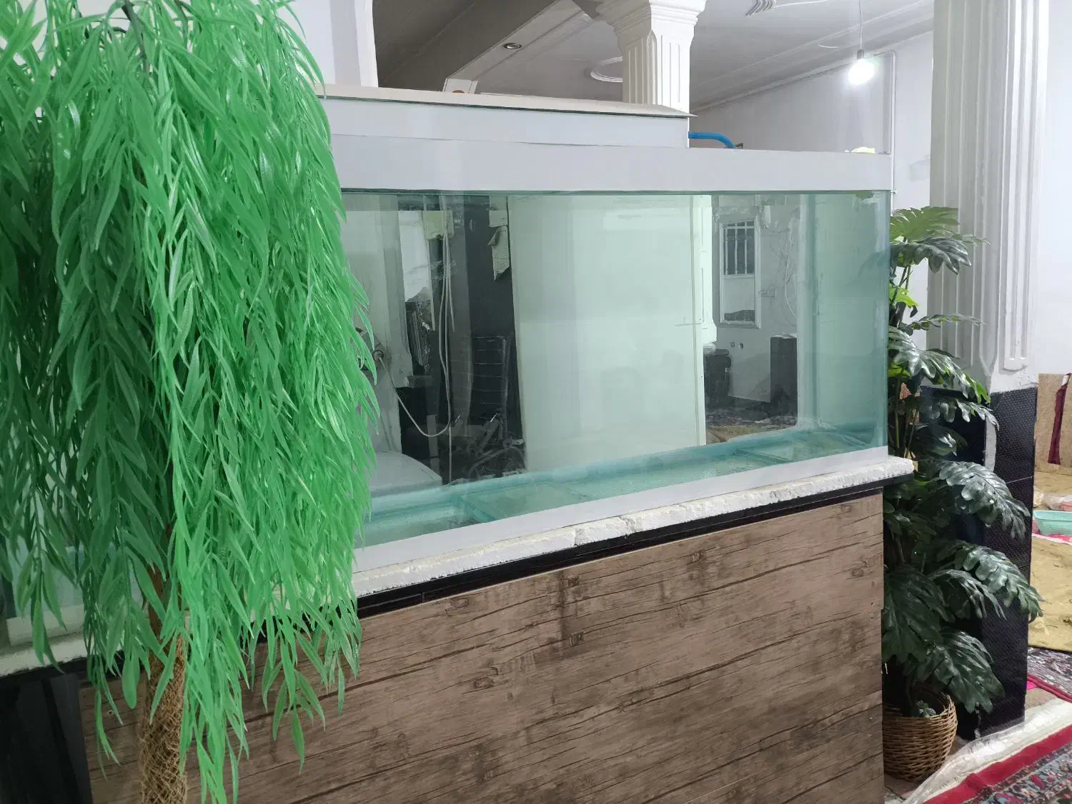 آکواریوم|ماهی|خرم‌آباد, |دیوار