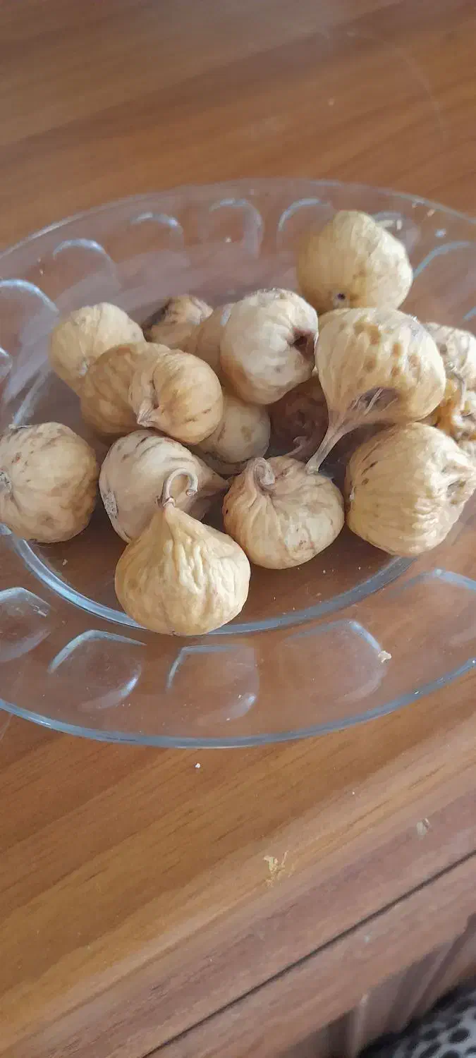 انجیر و رب انار|خوردنی و آشامیدنی|قم, صدوق|دیوار