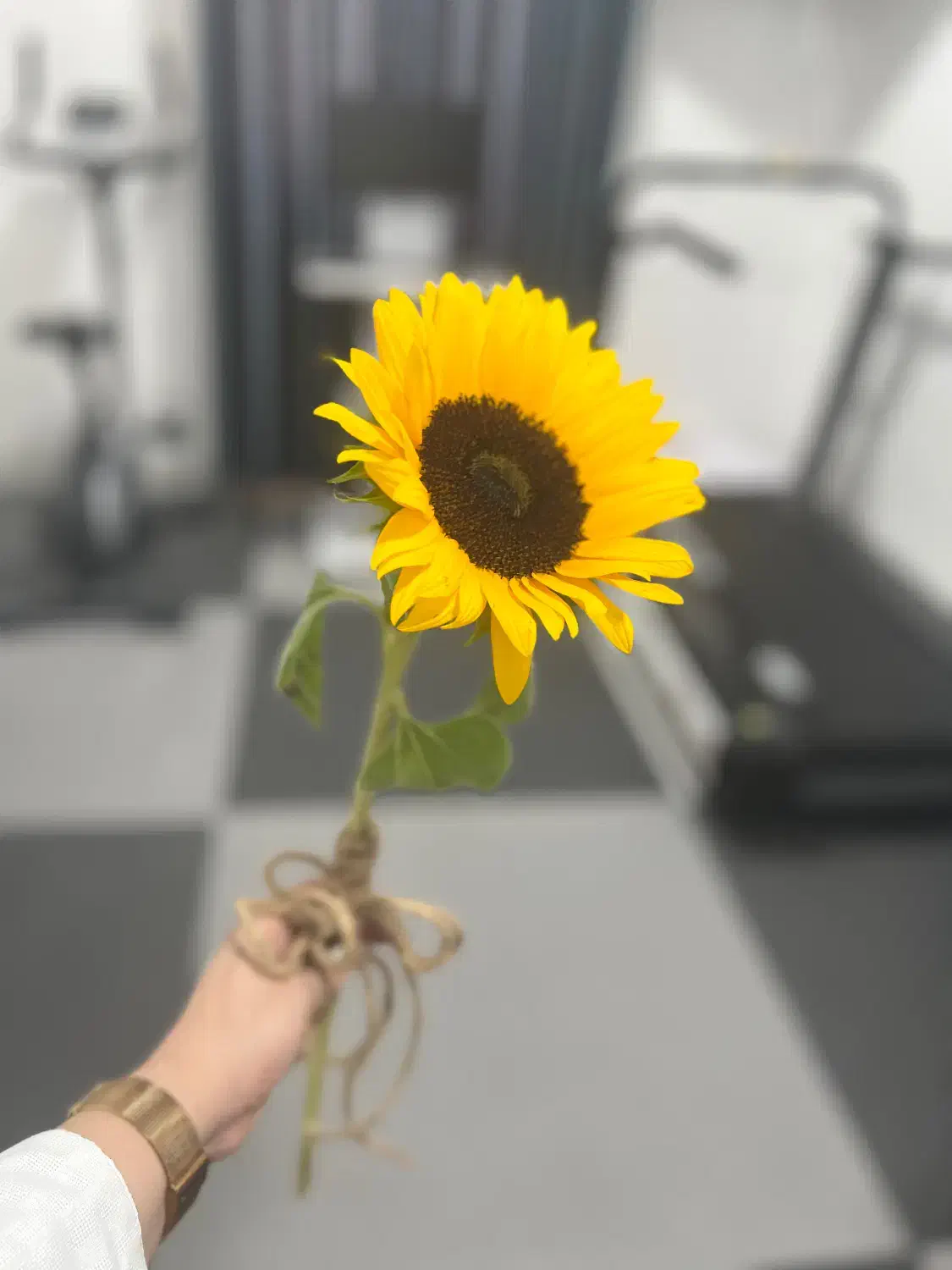 استخدام منشی پزشک با بیمه|استخدام درمانی، زیبایی، بهداشتی|لامرد, |دیوار