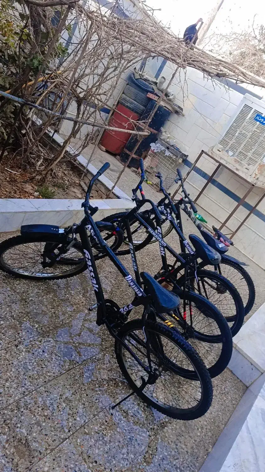 چهار عدد دوچرخه اساک دماوند در حد خشک فروش فوری|دوچرخه، اسکیت، اسکوتر|زابل, |دیوار