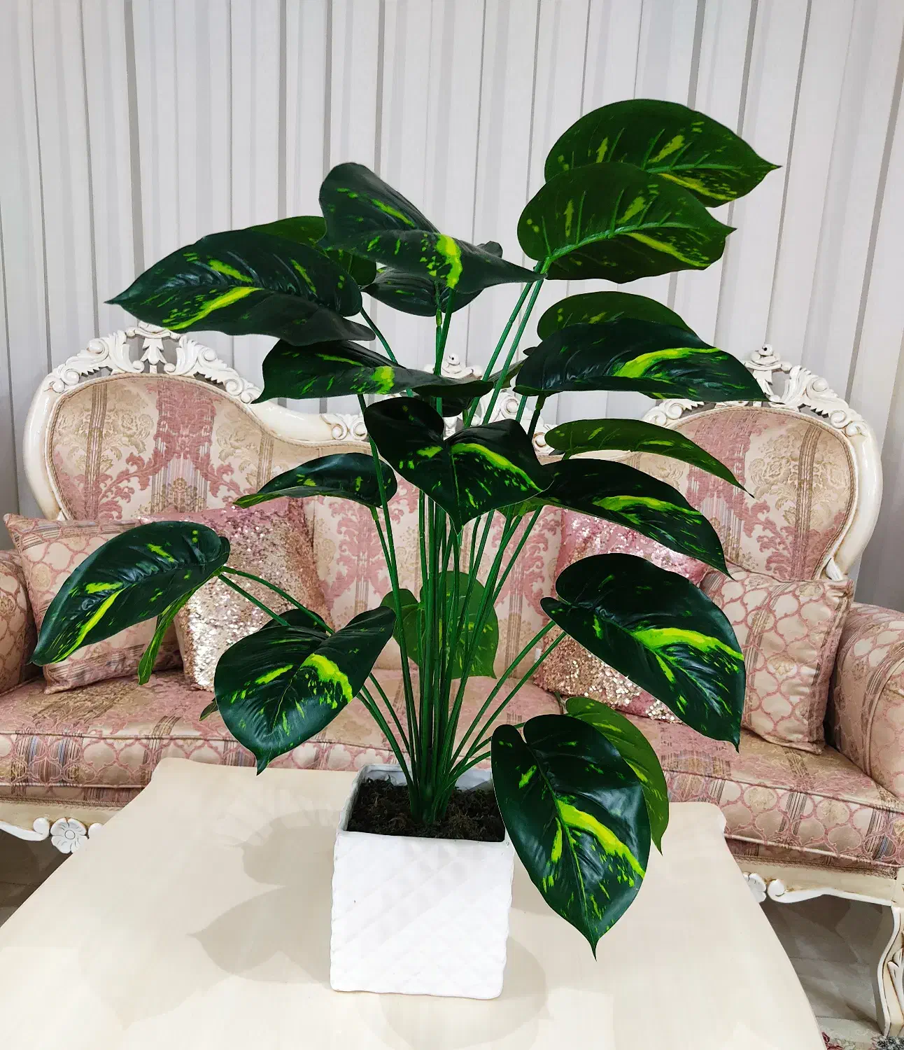 درختچه دیفن باخیا|گل مصنوعی|قم, انسجام|دیوار