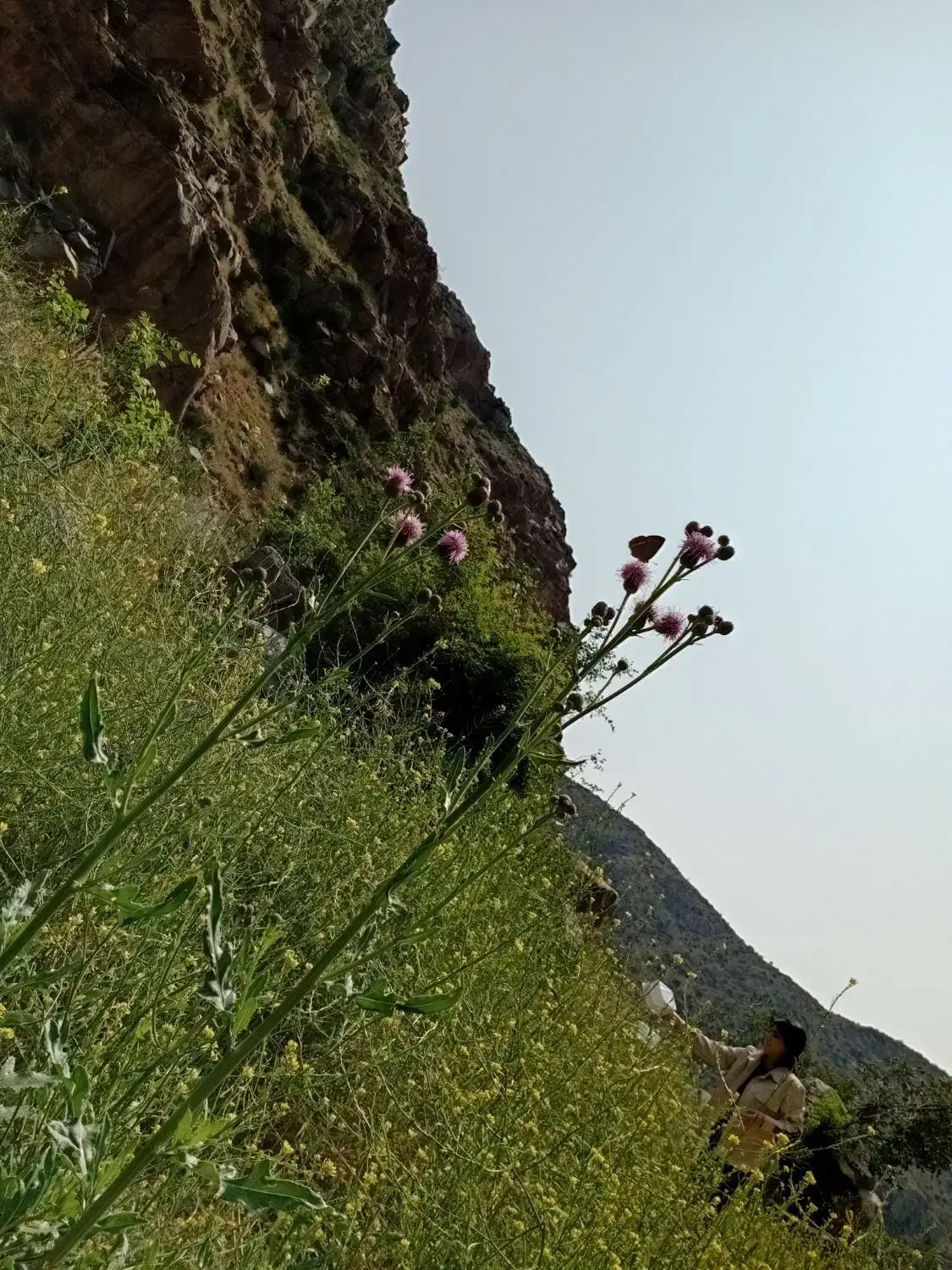 نظافت ساختمان مغازه و باغ ویلا|خدمات نظافت|اردبیل, |دیوار