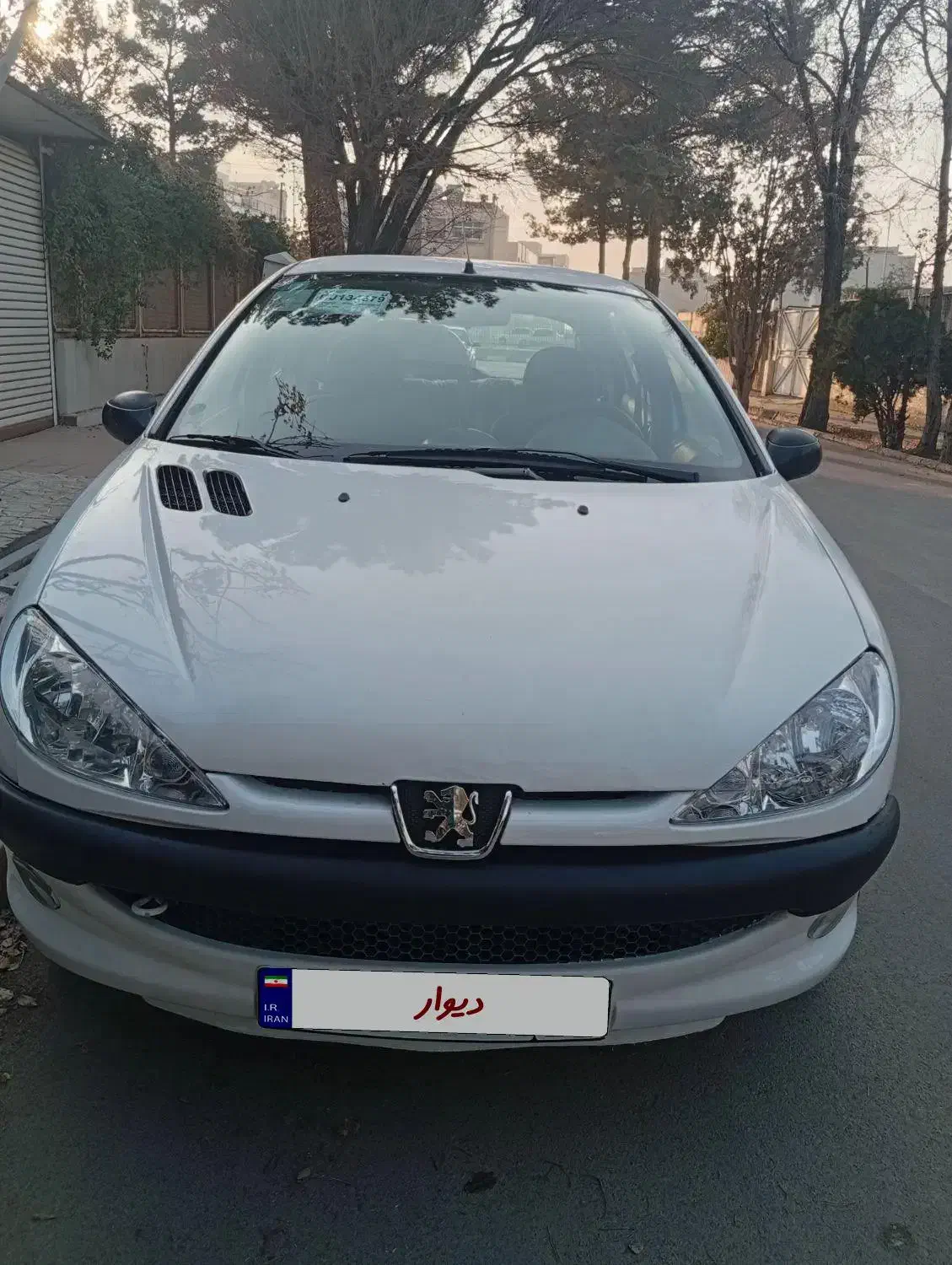 206 TU3 مدل 1401|خودرو سواری و وانت|شاهین‌شهر, امیرکبیر|دیوار