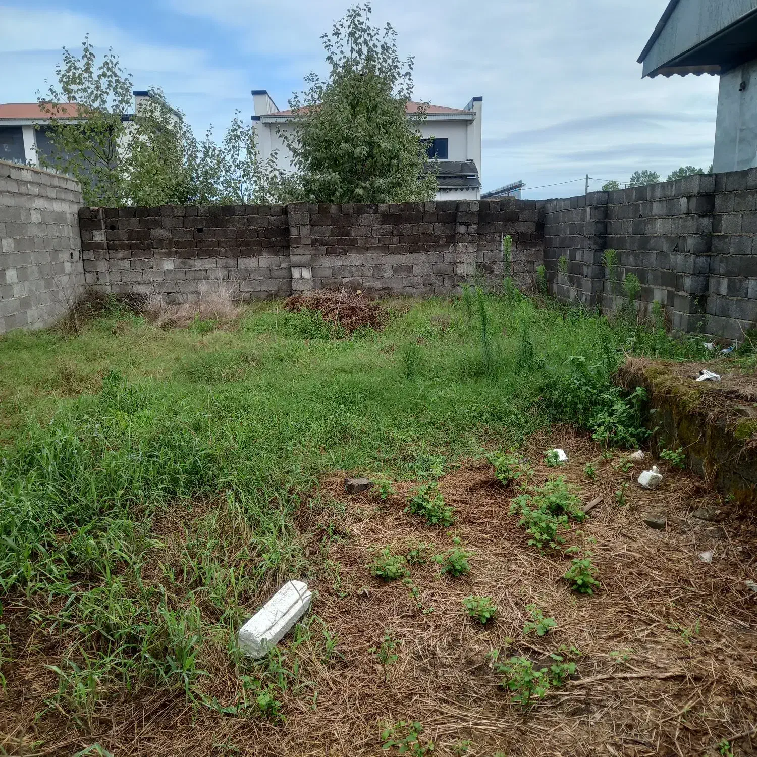 فروش  زمین  ۱۴۵  متری  مسکونی  در کیاشهر|فروش زمین و ملک کلنگی|کیاشهر, |دیوار