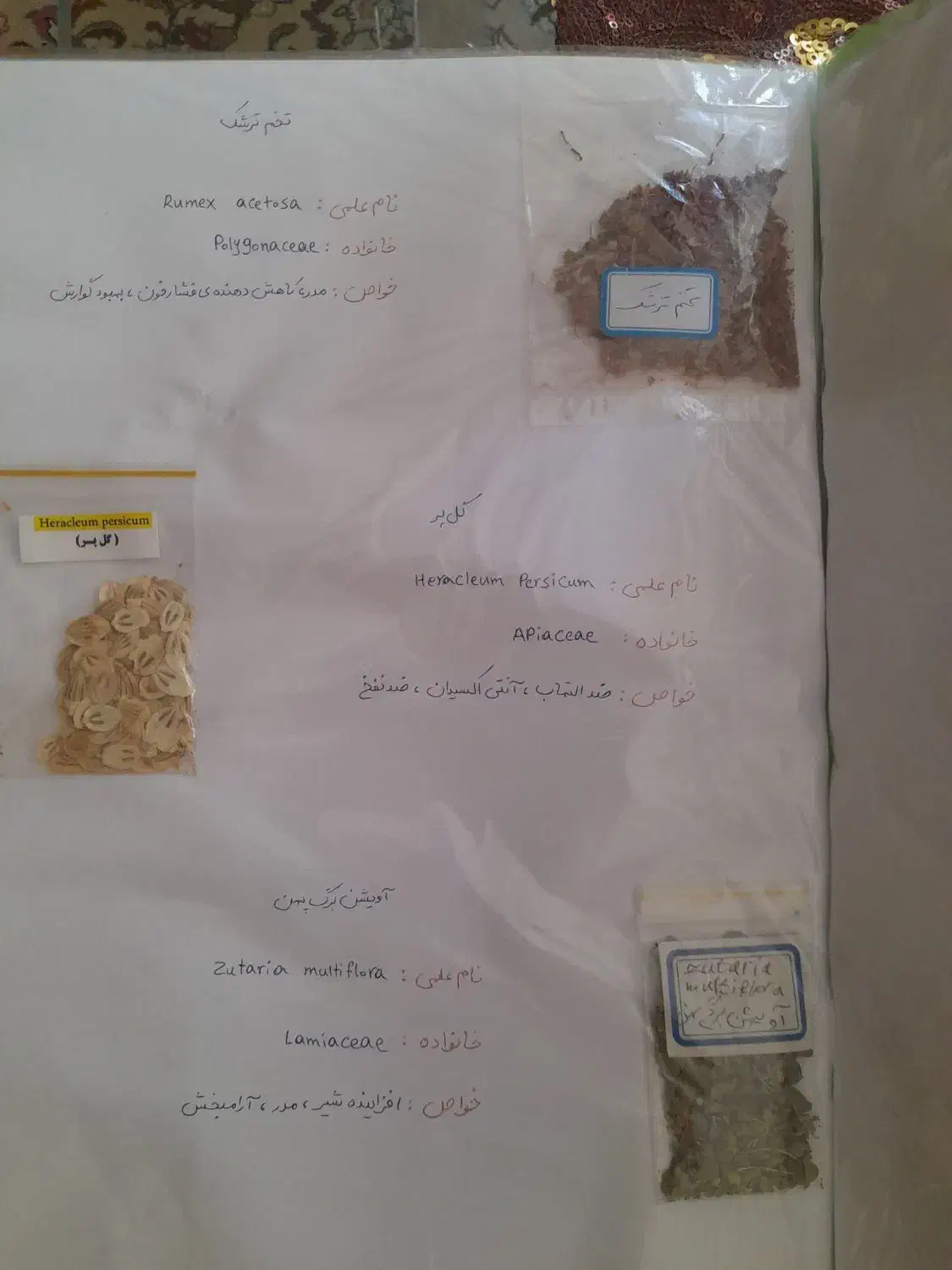 آلبوم کامل گیاهان دارویی|کتاب و مجله آموزشی|شیراز, قصرالدشت|دیوار