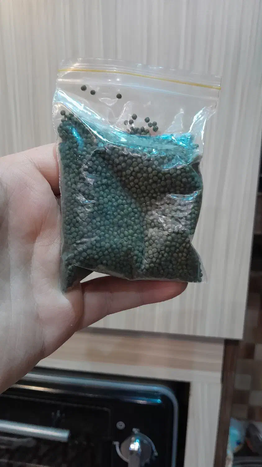 انواع غذا و دارو|ماهی|اردبیل, |دیوار