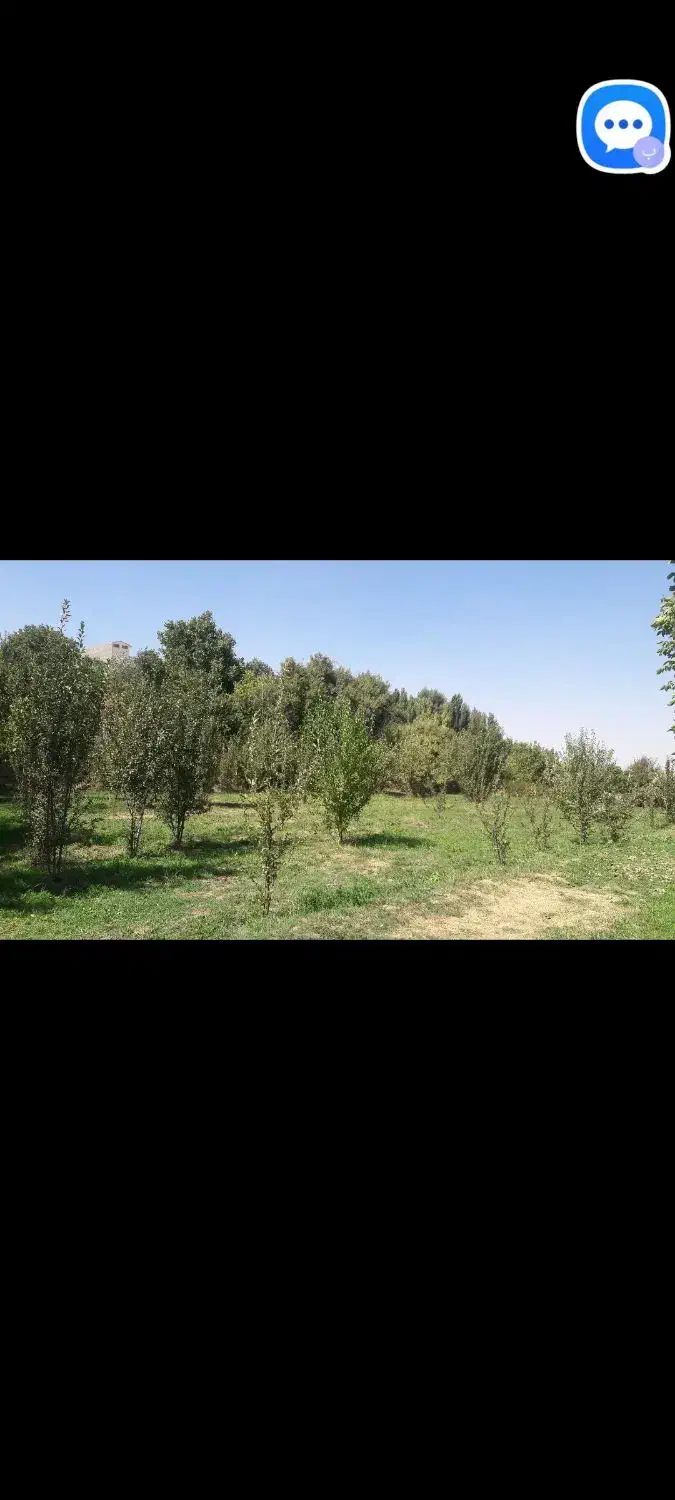 باغ هزار متر در شهر آوج با آب و درختان صد ساله|فروش دفتر صنعتی، کشاورزی، تجاری|آوج, |دیوار