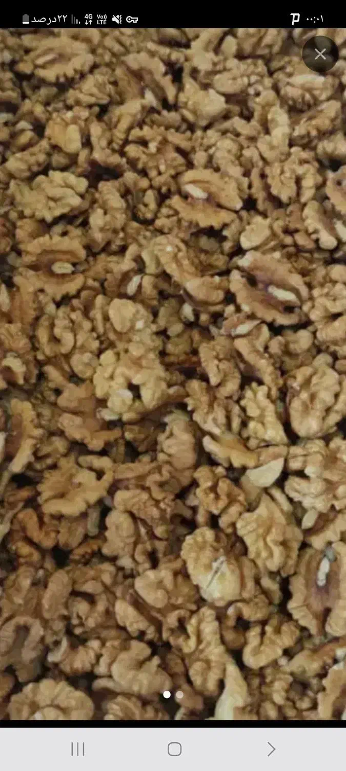 مغز گردو ایرانی امساله|خوردنی و آشامیدنی|قم, بنیاد|دیوار