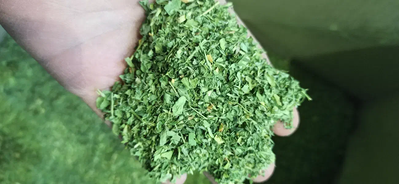 خشکبار|خوردنی و آشامیدنی|هرند, |دیوار