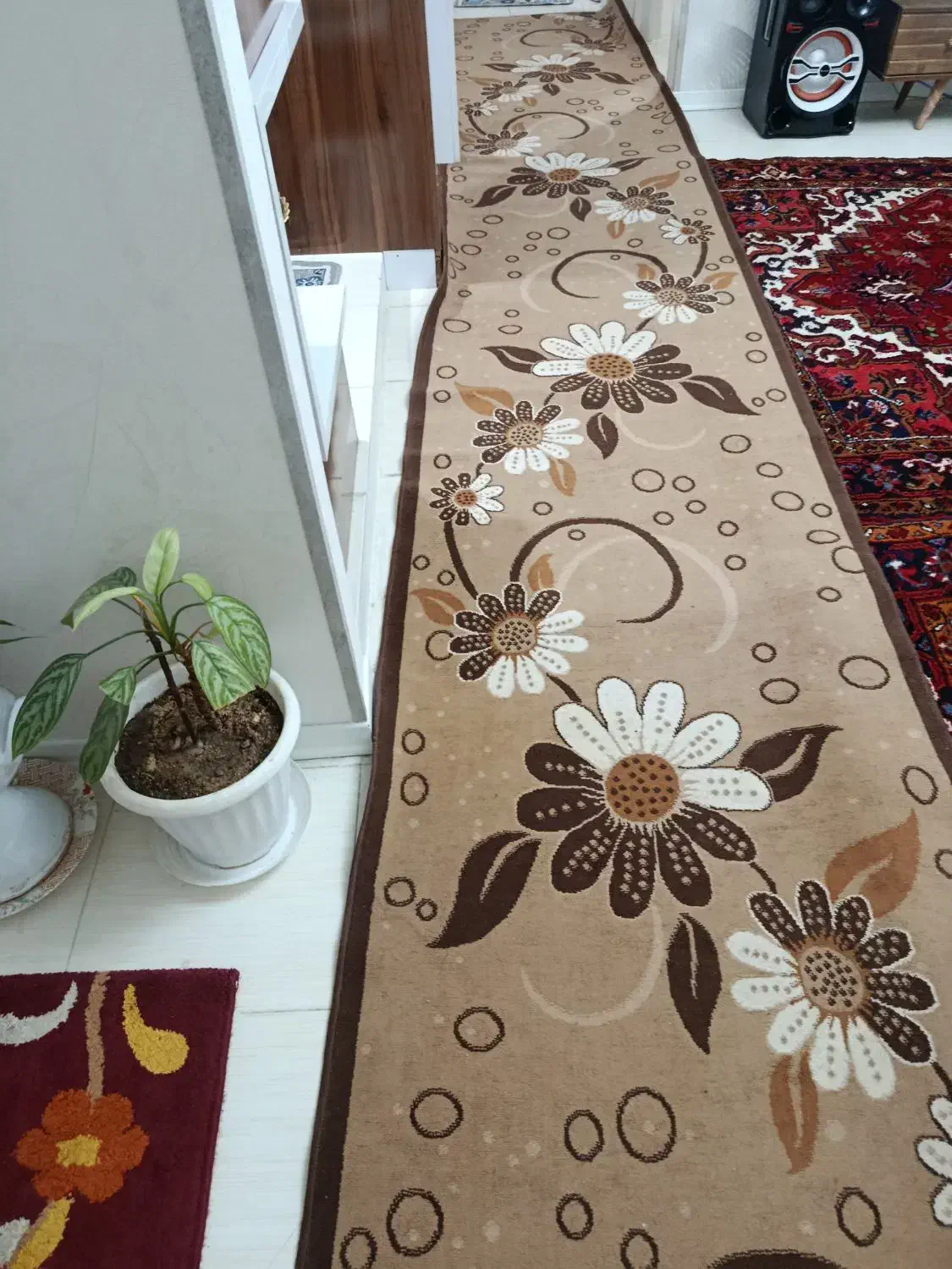 1متر در 6|فرش|سهند, |دیوار