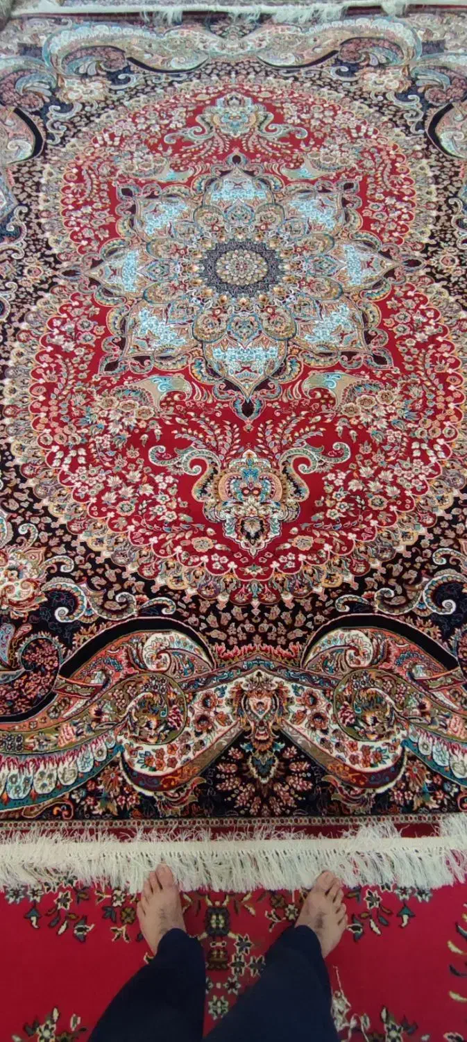فرش ۱۲ متری ۷۰۰ شانه چیچک روناسی|فرش|زاهدان, |دیوار