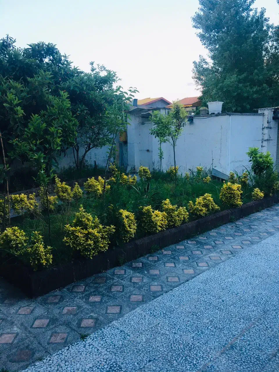 خانه ویلایی|اجارهٔ خانه و ویلا|بندر انزلی, لیچارگی حسن رود|دیوار