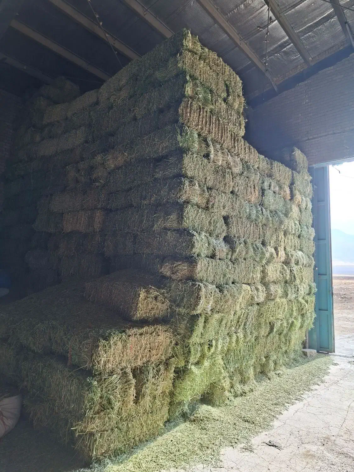 یونجه|لوازم جانبی حیوانات|پیر سلیمان, |دیوار