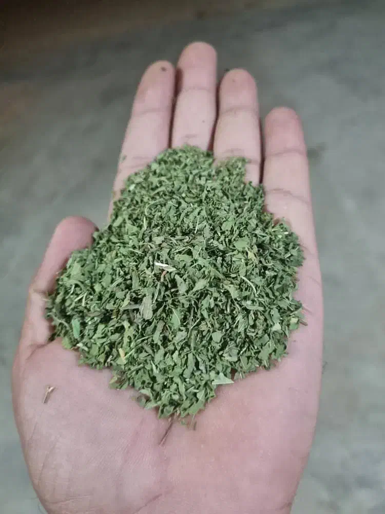 عطاری و گیاهان دارویی|خوردنی و آشامیدنی|شیراز, پادگان ولیعصر|دیوار