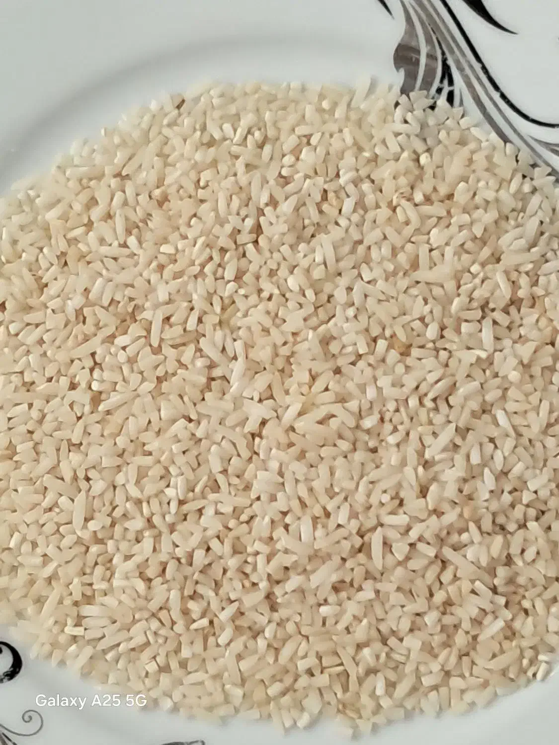 نیم دانه هاشمی صددرصد محلی|خوردنی و آشامیدنی|رشت, معلم|دیوار