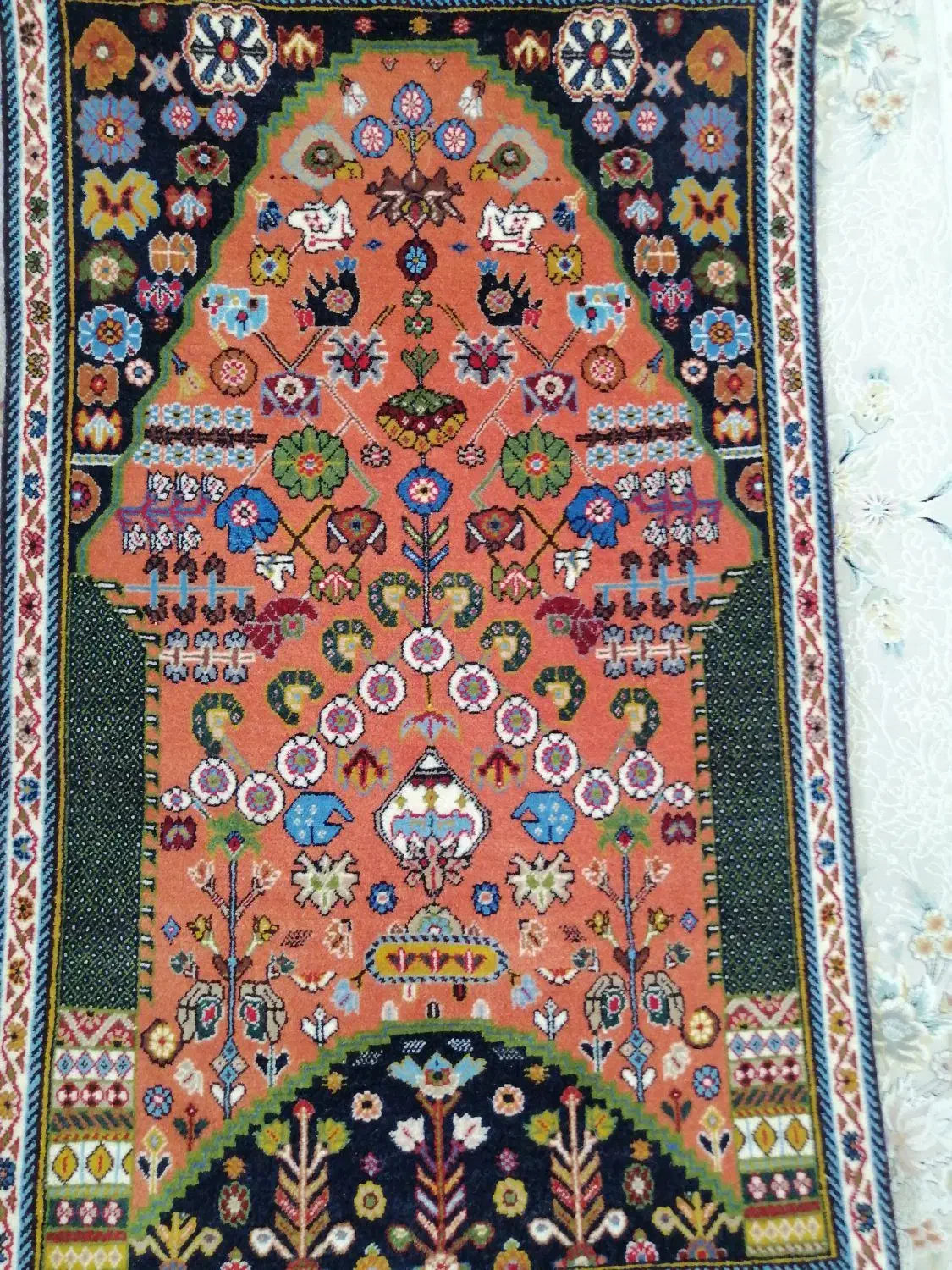 قالی کشکولی نخ مرینوس|فرش|شیراز, آزادگان|دیوار