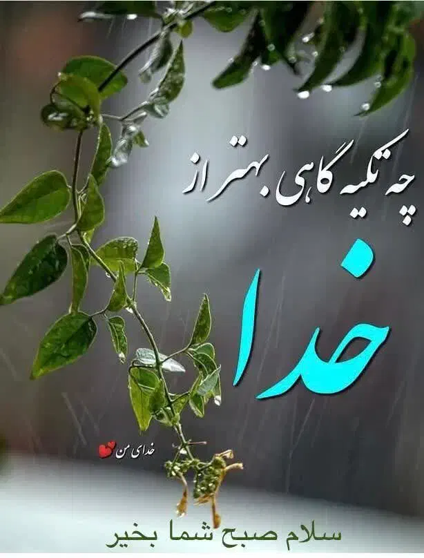 نیازمند به راهنمای هستم سرمایه|فعالیت داوطلبانه|اردبیل, |دیوار
